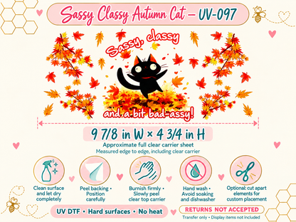 Sassy Classy Autumn Cat full carrier size and no-heat application guide