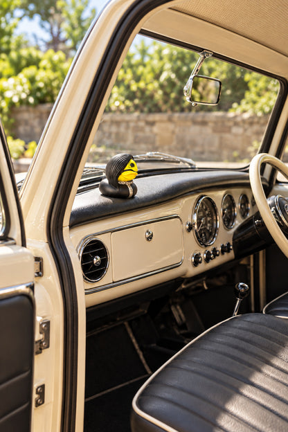 Roxy novelty duck on dashboard inside parked cream MINI