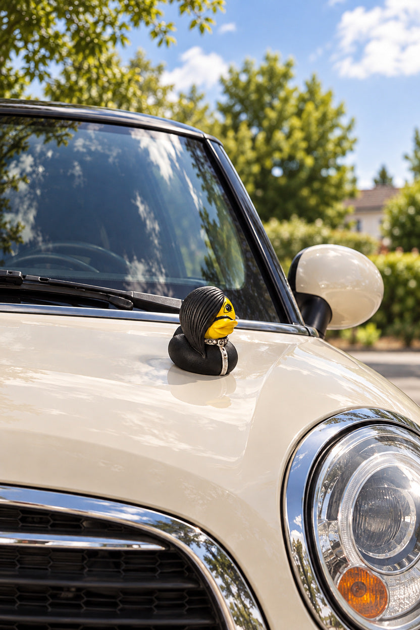 Roxy novelty duck on hood outside parked cream MINI
